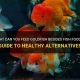 Beyond Flakes: What Can I Feed Goldfish Besides Fish Food? Tips! | World’s Most Delicious Foods: Must-Try Dishes from Every Country