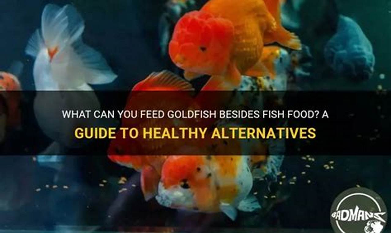 Beyond Flakes: What Can I Feed Goldfish Besides Fish Food? Tips! | World’s Most Delicious Foods: Must-Try Dishes from Every Country