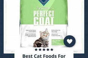 Best Cat Food for Dandruff: Healthy Skin Diet Tips World’s Most Delicious Foods: Must-Try Dishes from Every Country Best Cat Food for Dandruff: Healthy Skin Diet Tips | World’s Most Delicious Foods: Must-Try Dishes from Every Country