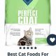 Best Cat Food for Dandruff: Healthy Skin Diet Tips | World’s Most Delicious Foods: Must-Try Dishes from Every Country