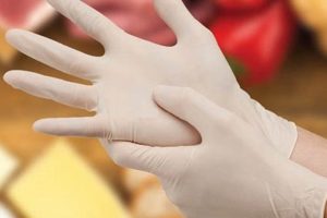 Does Wearing Gloves Keep Food Safe? By Hygiene Practices World’s Most Delicious Foods: Must-Try Dishes from Every Country Does Wearing Gloves Keep Food Safe? By Hygiene Practices | World’s Most Delicious Foods: Must-Try Dishes from Every Country