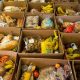 Guide: How to Start a Food Bank + Tips | World’s Most Delicious Foods: Must-Try Dishes from Every Country