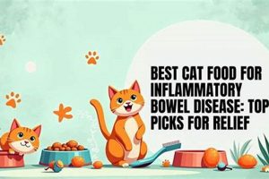 Best Cat Food for IBD: Healing Diet + Recipes World’s Most Delicious Foods: Must-Try Dishes from Every Country Best Cat Food for IBD: Healing Diet + Recipes | World’s Most Delicious Foods: Must-Try Dishes from Every Country
