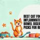 Best Cat Food for IBD: Healing Diet + Recipes | World’s Most Delicious Foods: Must-Try Dishes from Every Country