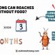 Roaches Can Survive How Long Without Food? Facts & Tips | World’s Most Delicious Foods: Must-Try Dishes from Every Country