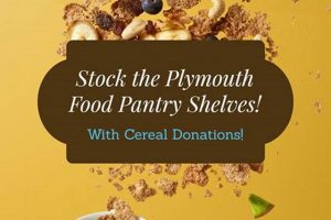 Your Guide: Plymouth Food Pantry Locations & Support World’s Most Delicious Foods: Must-Try Dishes from Every Country Your Guide: Plymouth Food Pantry Locations & Support | World’s Most Delicious Foods: Must-Try Dishes from Every Country