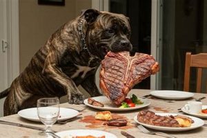 Stop Dog Stealing Food: Causes & Solutions World’s Most Delicious Foods: Must-Try Dishes from Every Country Stop Dog Stealing Food: Causes & Solutions | World’s Most Delicious Foods: Must-Try Dishes from Every Country