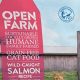 Is Open Farm Cat Food Good? Reviews & Analysis | World’s Most Delicious Foods: Must-Try Dishes from Every Country