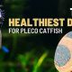 The Best Food for Plecostomus: A Complete Guide + Diet Tips | World’s Most Delicious Foods: Must-Try Dishes from Every Country