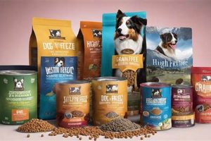 Bargain Bites: Dog Food Auction Deals & Savings | World’s Most Delicious Foods: Must-Try Dishes from Every Country