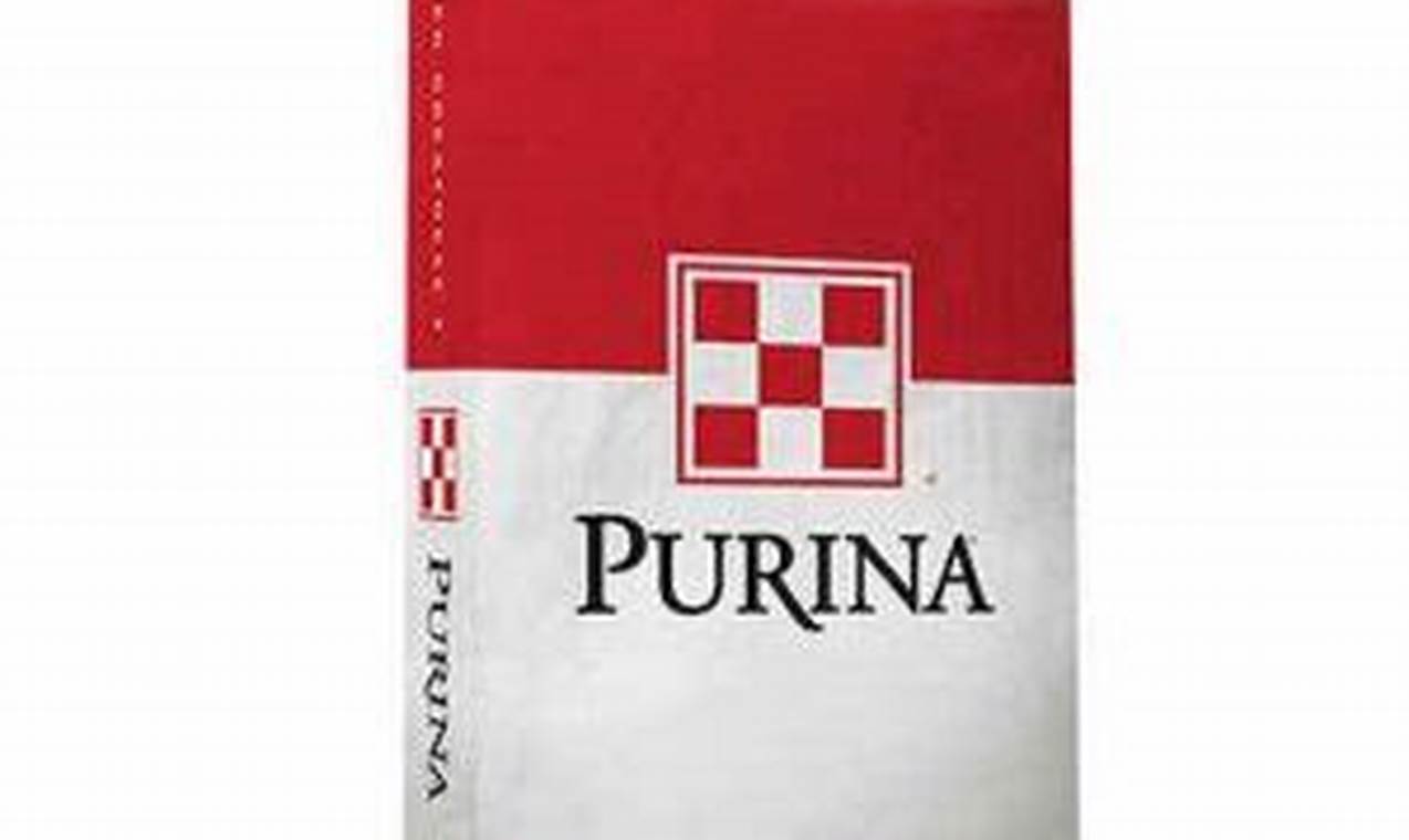 Best Purina Tropical Fish Food: Reviews & Guide World’s Most Delicious Foods: Must-Try Dishes from Every Country Best Purina Tropical Fish Food: Reviews & Guide | World’s Most Delicious Foods: Must-Try Dishes from Every Country