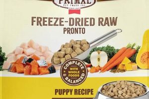 Benefits of Primal Freeze Dried Dog Food: A Healthy Choice | World’s Most Delicious Foods: Must-Try Dishes from Every Country