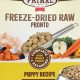 Benefits of Primal Freeze Dried Dog Food: A Healthy Choice | World’s Most Delicious Foods: Must-Try Dishes from Every Country