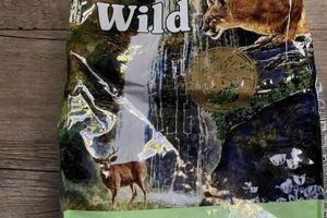 Best Into the Wild Cat Food: Fuels Your Feline's Instincts | World’s Most Delicious Foods: Must-Try Dishes from Every Country