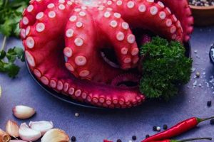 Buy Fresh Octopus for Sale: Delicious Food Deals! World’s Most Delicious Foods: Must-Try Dishes from Every Country Buy Fresh Octopus for Sale: Delicious Food Deals! | World’s Most Delicious Foods: Must-Try Dishes from Every Country
