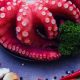 Buy Fresh Octopus for Sale: Delicious Food Deals! | World’s Most Delicious Foods: Must-Try Dishes from Every Country