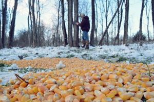 Guide: Best Winter Food for Deer Survival Tips World’s Most Delicious Foods: Must-Try Dishes from Every Country Guide: Best Winter Food for Deer Survival Tips | World’s Most Delicious Foods: Must-Try Dishes from Every Country