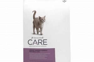 Best Diamond Care Urinary Cat Food: Healthy Cat, Happy Cat! World’s Most Delicious Foods: Must-Try Dishes from Every Country Best Diamond Care Urinary Cat Food: Healthy Cat, Happy Cat! | World’s Most Delicious Foods: Must-Try Dishes from Every Country