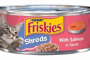 Best Salmon Cat Food Wet: Delicious & Healthy Meals | World’s Most Delicious Foods: Must-Try Dishes from Every Country