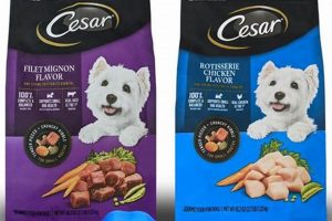 Discover: What Breed of Dog Is on Cesar Dog Food? Guide | World’s Most Delicious Foods: Must-Try Dishes from Every Country