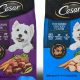 Discover: What Breed of Dog Is on Cesar Dog Food? Guide | World’s Most Delicious Foods: Must-Try Dishes from Every Country