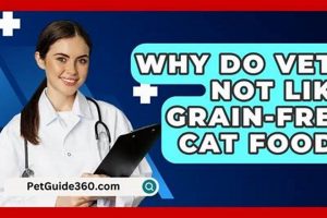 Vets & Grain-Free Cat Food: What's the Problem? World’s Most Delicious Foods: Must-Try Dishes from Every Country Vets & Grain-Free Cat Food: What's the Problem? | World’s Most Delicious Foods: Must-Try Dishes from Every Country