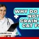 Vets & Grain-Free Cat Food: What's the Problem? | World’s Most Delicious Foods: Must-Try Dishes from Every Country