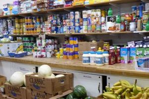 Support Sudbury Community Food Pantry: Fight Hunger Locally World’s Most Delicious Foods: Must-Try Dishes from Every Country Support Sudbury Community Food Pantry: Fight Hunger Locally | World’s Most Delicious Foods: Must-Try Dishes from Every Country