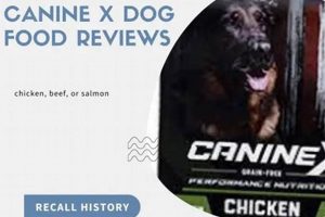 Best Canine X Dog Food: Reviews & Tips | World’s Most Delicious Foods: Must-Try Dishes from Every Country