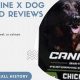 Best Canine X Dog Food: Reviews & Tips | World’s Most Delicious Foods: Must-Try Dishes from Every Country