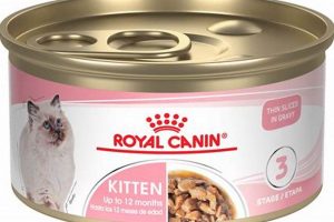 Benefits of Raw Canned Cat Food: Is it Safe? | World’s Most Delicious Foods: Must-Try Dishes from Every Country