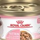 Benefits of Raw Canned Cat Food: Is it Safe? | World’s Most Delicious Foods: Must-Try Dishes from Every Country