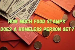 SNAP for Homeless: How Much Food Stamps Can They Get? | World’s Most Delicious Foods: Must-Try Dishes from Every Country