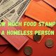 SNAP for Homeless: How Much Food Stamps Can They Get? | World’s Most Delicious Foods: Must-Try Dishes from Every Country