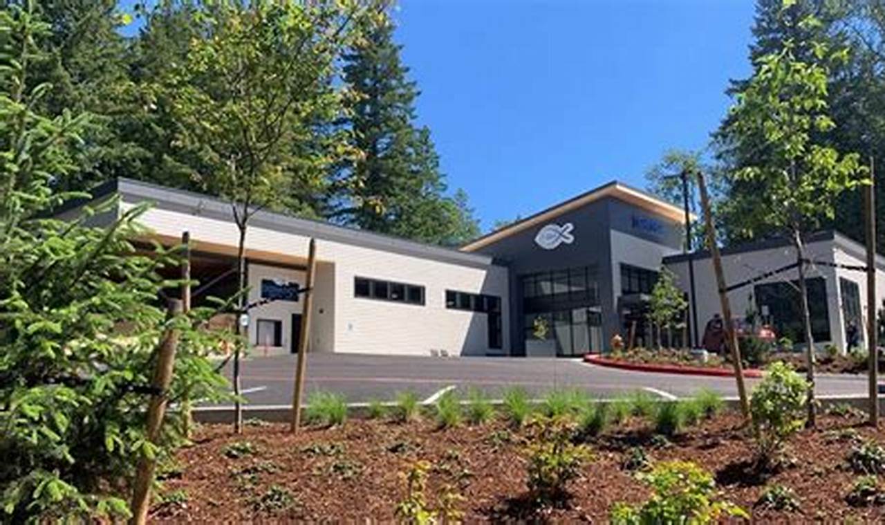 Support Gig Harbor Peninsula Fish Food Bank Needs World’s Most Delicious Foods: Must-Try Dishes from Every Country Support Gig Harbor Peninsula Fish Food Bank Needs | World’s Most Delicious Foods: Must-Try Dishes from Every Country