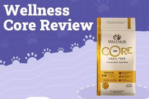 Best Cat Food Reviews for Wellness: Your Guide & Tips | World’s Most Delicious Foods: Must-Try Dishes from Every Country
