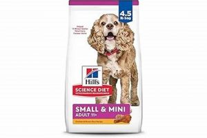 Best Senior Small Dog Food: Expert Picks + Reviews | World’s Most Delicious Foods: Must-Try Dishes from Every Country