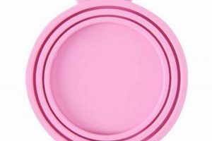 Canned Food Lids: The Ultimate Can Sealing Guide! | World’s Most Delicious Foods: Must-Try Dishes from Every Country