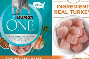 Purina Cat Food: Is It Good For Your Cat? Pros & Cons | World’s Most Delicious Foods: Must-Try Dishes from Every Country