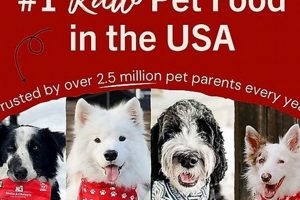 Stella & Chewy's: Is It Good Dog Food? [Review] | World’s Most Delicious Foods: Must-Try Dishes from Every Country