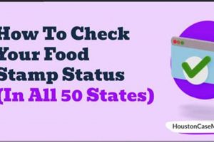 Check Your MO Food Stamp Status: Benefits & Renewal World’s Most Delicious Foods: Must-Try Dishes from Every Country Check Your MO Food Stamp Status: Benefits & Renewal | World’s Most Delicious Foods: Must-Try Dishes from Every Country