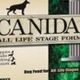 Is Your Dog Safe? Canidae Dog Food Recall: What You Need to Know | World’s Most Delicious Foods: Must-Try Dishes from Every Country