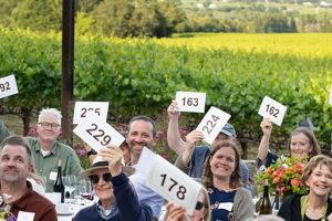 Nourishing Sonoma: Food for Thought Forestville CA's Impact | World’s Most Delicious Foods: Must-Try Dishes from Every Country