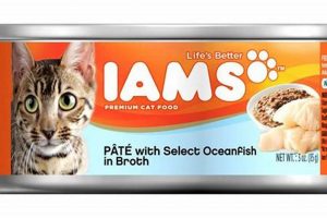 Buy Iams Canned Cat Food: Best Deals & Reviews | World’s Most Delicious Foods: Must-Try Dishes from Every Country