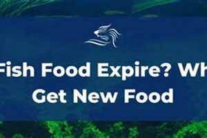 Aquarium Food: Does Fish Food Expire? Tips &amp; Safety | World’s Most Delicious Foods: Must-Try Dishes from Every Country