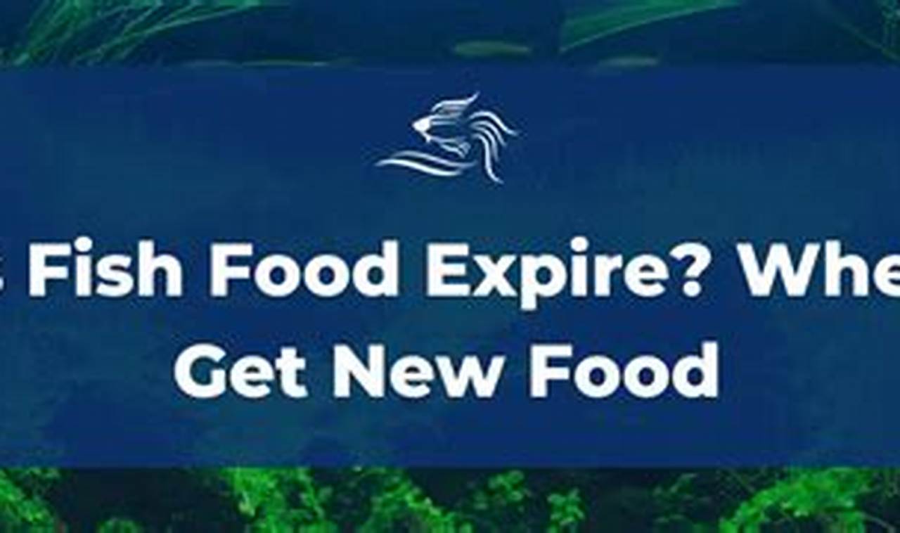 Aquarium Food: Does Fish Food Expire? Tips &amp; Safety | World’s Most Delicious Foods: Must-Try Dishes from Every Country