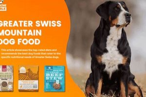 Guide: Best Dog Food for Greater Swiss Mountain Dogs (2024) | World’s Most Delicious Foods: Must-Try Dishes from Every Country