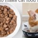 Best Soft Cat Food: Gentle Nourishment Tips & Benefits | World’s Most Delicious Foods: Must-Try Dishes from Every Country