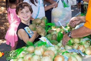 Fairfield CA Food Bank: Find Support + Donate! | World’s Most Delicious Foods: Must-Try Dishes from Every Country
