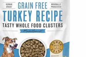 Best Turkey Dry Dog Food: Health & Benefits! | World’s Most Delicious Foods: Must-Try Dishes from Every Country